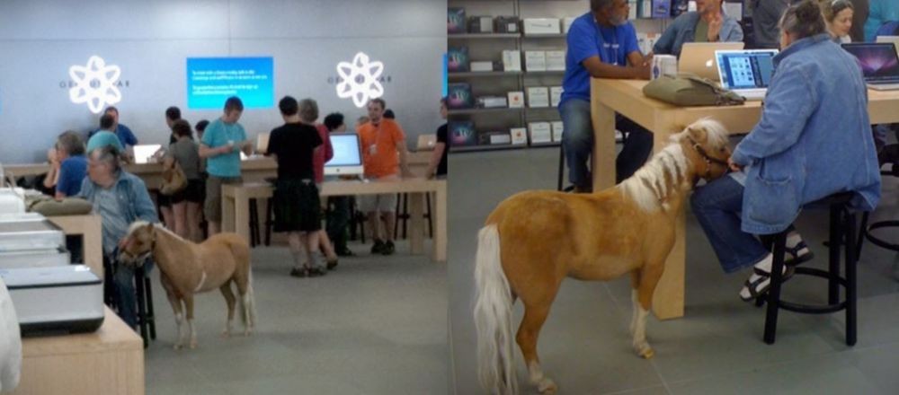 Kelakuan nyeleneh orang di toko hp bikin tepuk jidat